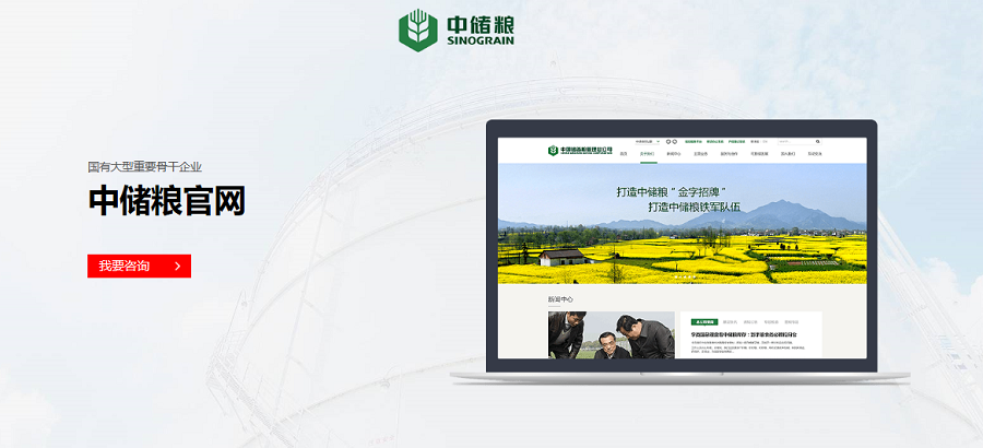 中储粮官网-米兰网站_米兰网页版(China)官方网站案例